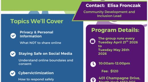 Internet Safety Group